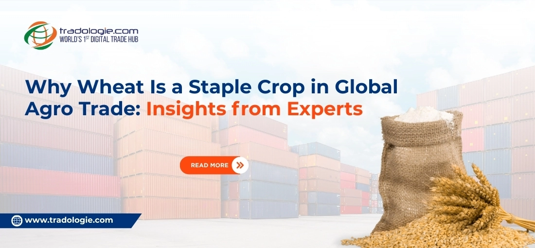 Why Wheat Is a Staple Crop in Global Agro Trade: Insights from Experts Why Wheat Is a Staple Crop in Global Agro Trade: Insights from Experts