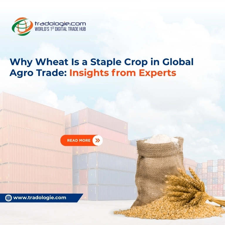 Why Wheat Is a Staple Crop in Global Agro Trade: Insights from Experts