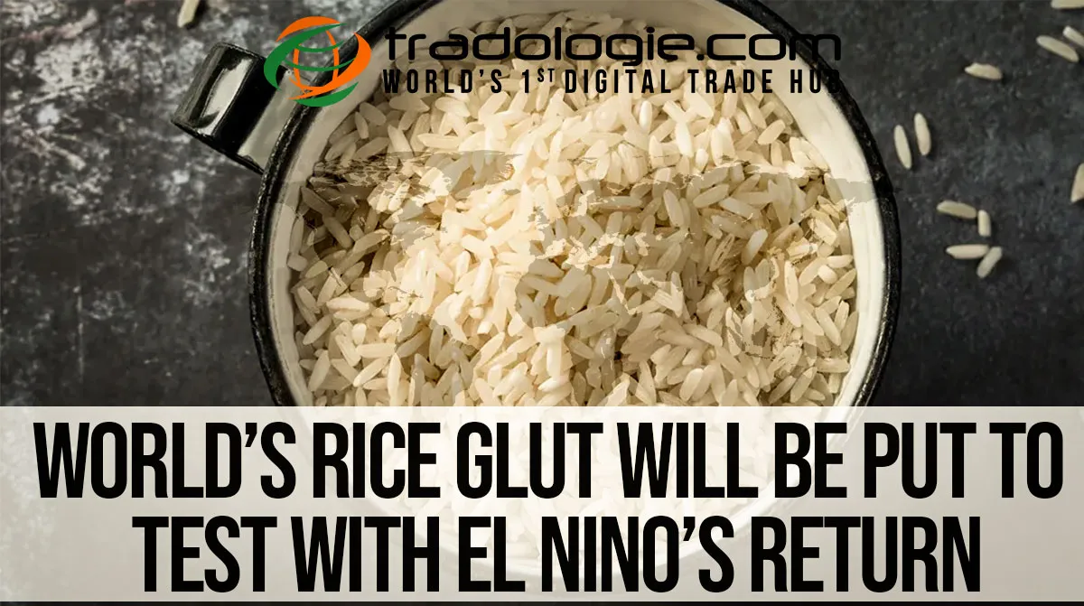 Worlds Rice Glut Will Be Put To Test With El Nino’s Return Worlds Rice Glut Will Be Put To Test With El Nino’s Return