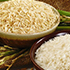 rice3