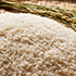 rice4