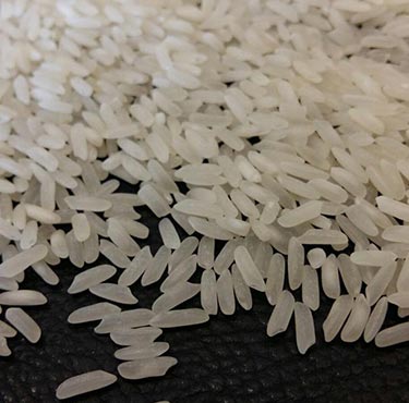 IRRI 9 Long Grain Rice