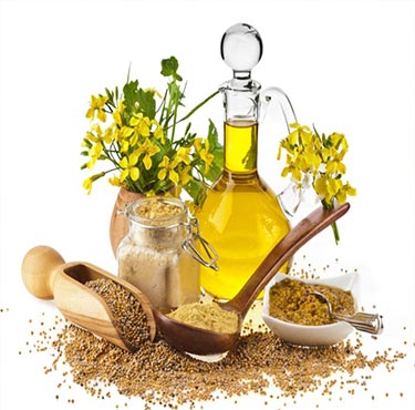 Mustard oil
