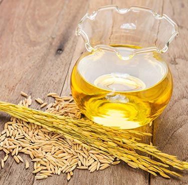 Rice bran oil