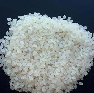 Round Grain Rice