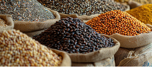 Oilseeds (Soybean, Mustard, Groundnut)