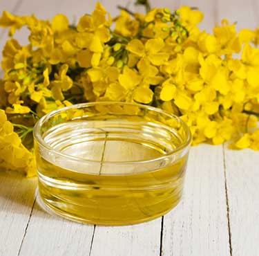 Canola oil