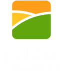 Golden Sunland