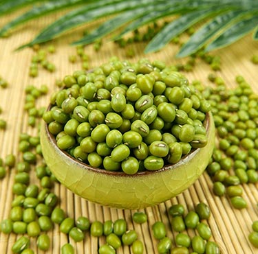 Green Mung Bean (Green Gram)
