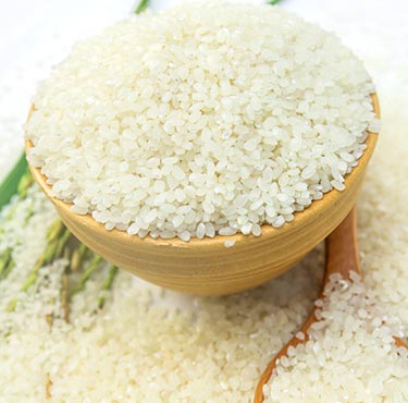 Japonica Rice
