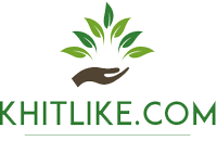 Khit Like Company
