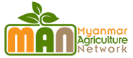 Myanmar Agriculture Network