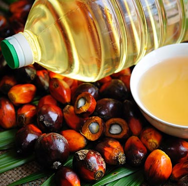 Palm oil