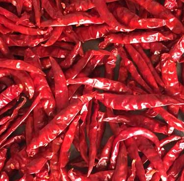redchillis