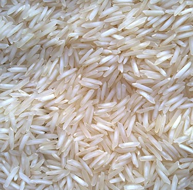 PR-106 Non Basmati Rice