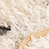 rice5