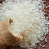 rice5