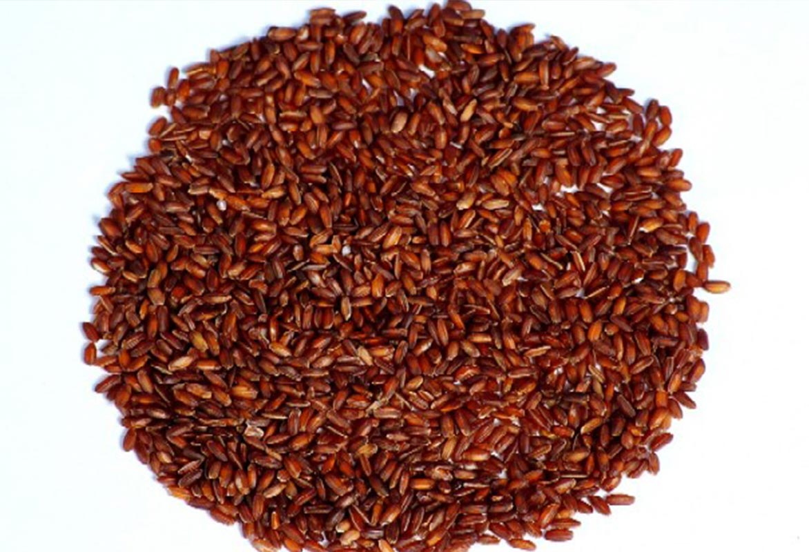 Red (Unpolished) Rice