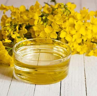 Canola oil