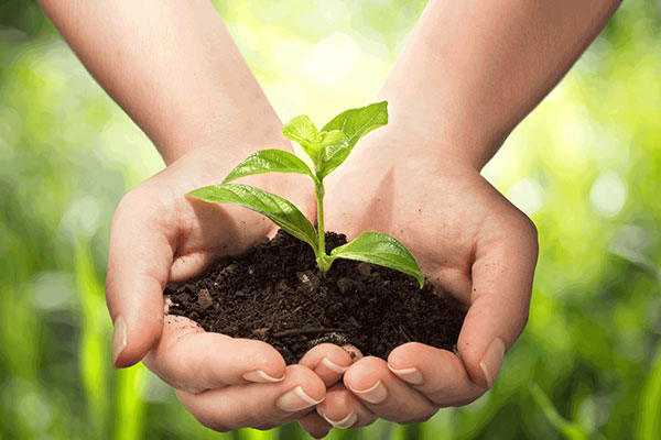 Safety and Environmental Stewardship