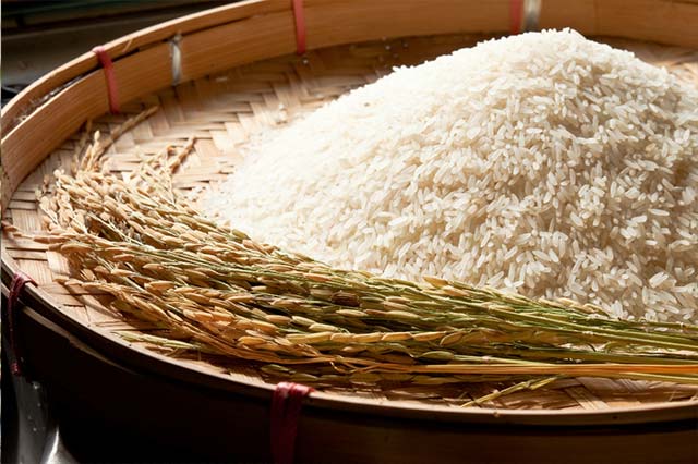 supplier of Rice